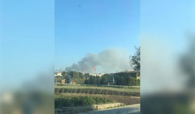Buca’da yangın: Alevler ormana sıçradı!