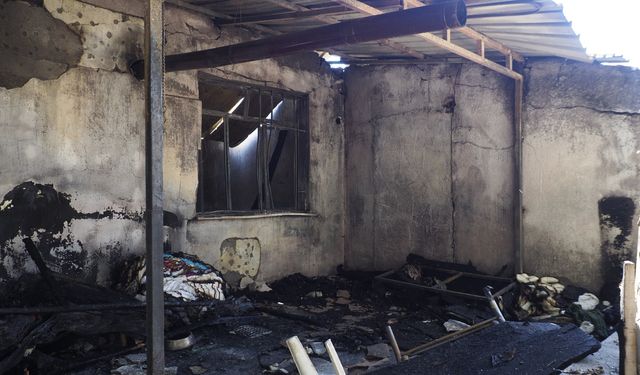 İzmir'de barakada başlayan yangın felakete dönüştü: Hayvanlar telef oldu