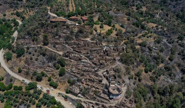 İhmalin ‘iki’ yüzü İzmir'deki ormanları kül etti!