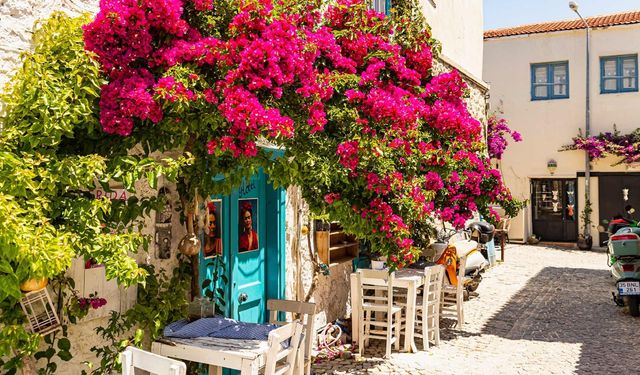 İzmir’in meşhur turistik ilçesinde bir yaz günü: Bu dizinin kahramanı sizsiniz