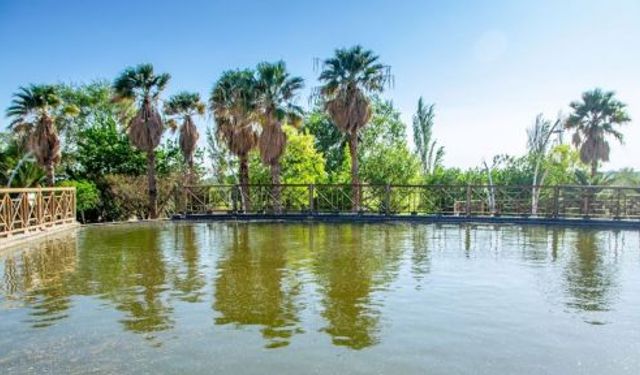 İzmir'e 40 dakika uzaklıkta: Masal gibi bir piknik alanı