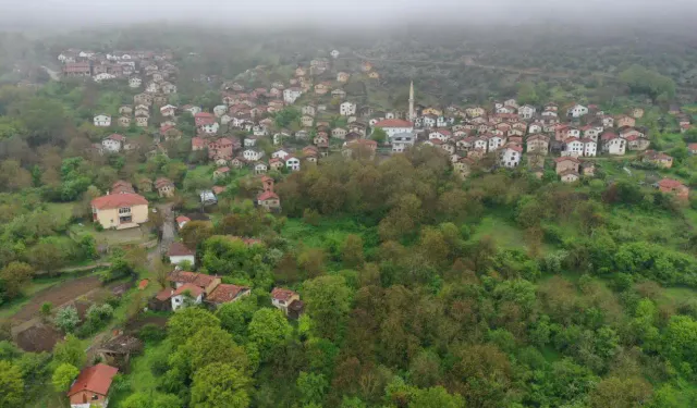 Ege'nin 101 köylü ilçesi: Orman ve su kaynakları ile kanser hastalarına şifa dağıtıyor