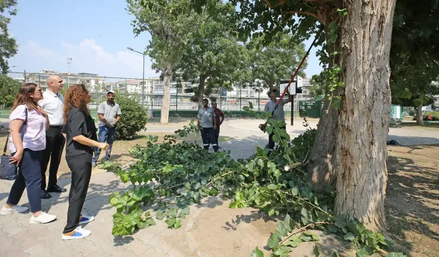 Karşıyaka'da parklara yoğun bakım