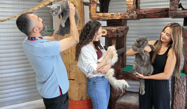 Konak'ta yüzlerce sokak hayvanı sahiplendirildi