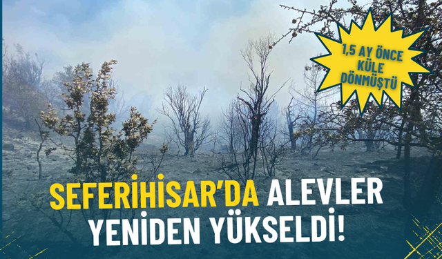 İzmir’de yangın alarmı: 1,5 ay önce küle dönen Seferihisar’da yeniden alevler yükseldi