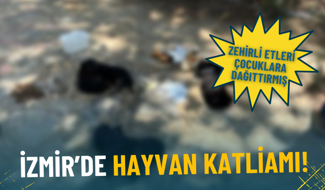 İzmir’de hayvan katliamı: Zehirli etleri çocuklara dağıttırmış