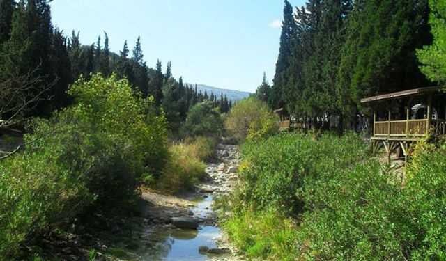 Manisa’ya 15 İzmir’e 30 dakika mesafedeki huzurlu bir rota: Bu ücretsiz tabiat parkında yenileneceksiniz