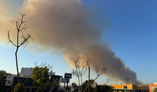İzmir Buca'da orman yangını: Trafik tek şeride düştü