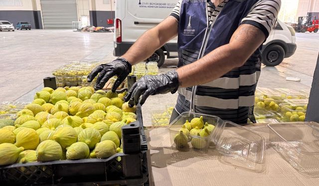 Tarladan sofraya dayanışma: 2 bin kilo incir İzmirlilere ulaştırıldı