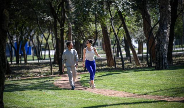 İzmir'e doğa dostu yatırımlar: Ağaçlandırma seferberliği ile kent yeşile büründü