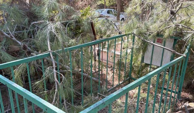 Buca'da tepki çeken olay: Bazı mezarlarda hasar oluştu