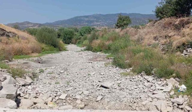 Bergama'da çiftçi isyanda: Bakırçay'la birlikte ürünler de kurudu