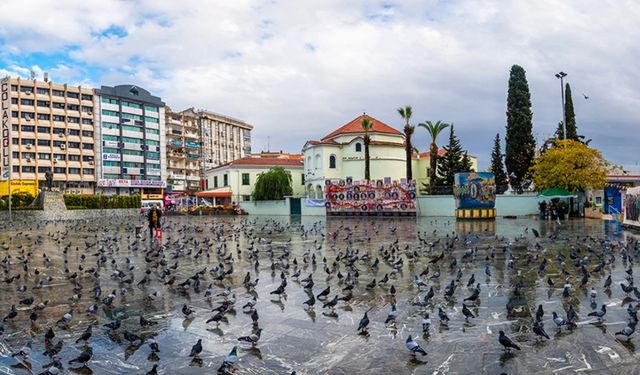 Bornova hakkında bilmeniz gereken her şey