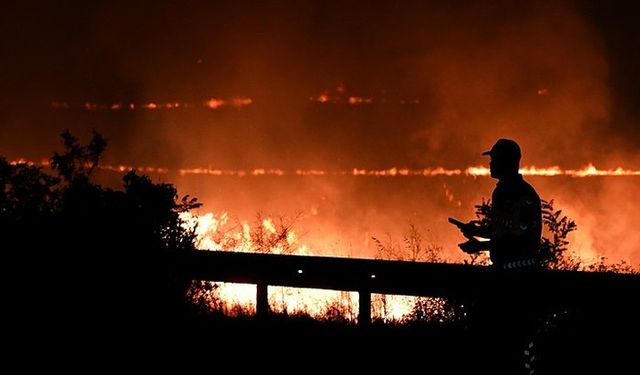 İzmir'de orman yangınına neden olmuştu: Şüphelinin yargılanmasına devam edildi