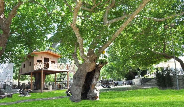 Eylül ayında İzmir'de gidilebilecek en güzel yerlerden biri: Uygun fiyatlı menüsü ile ilgi görüyor