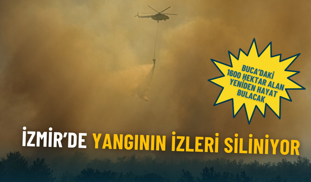 İzmir’de yangının izleri siliniyor: Buca’daki 1600 hektar alan yeniden hayat bulacak