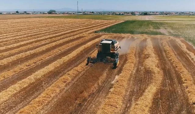 İki yıl ekilmeyen tarla elden gidiyor mu? Tarım-Sen Başkanı açıkladı!