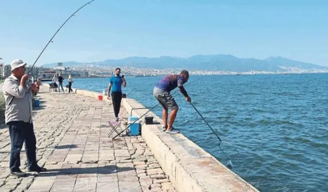 İzmir'de balık tutulacak yerler: Hangi ilçede hangi balık var?