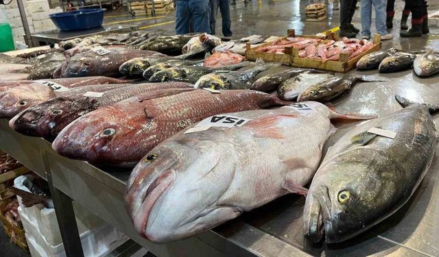 Av sezonu başladı: İzmirliler bu balıkları bulamayacak