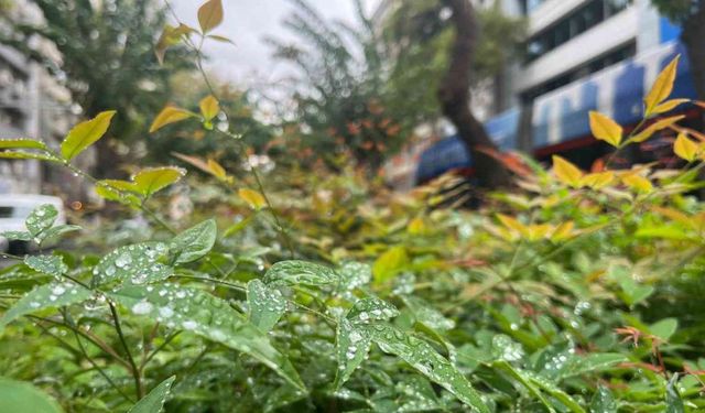 İzmir'de yağmur sevinci: Hasret sona erdi