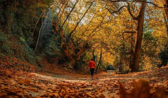 İzmir’de sonbaharda keşfetmeniz gereken 10 doğal güzellik