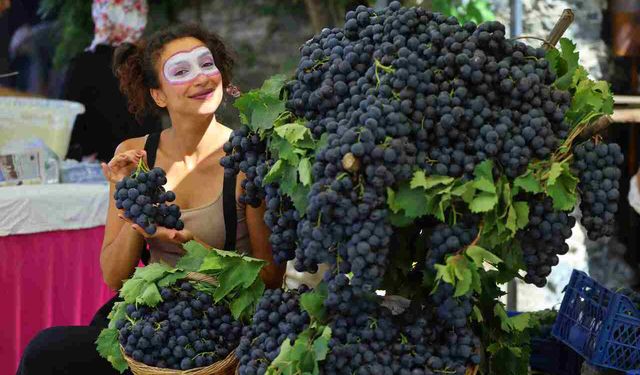 Kavacık Üzüm Festivali renkli görüntülerle başladı!