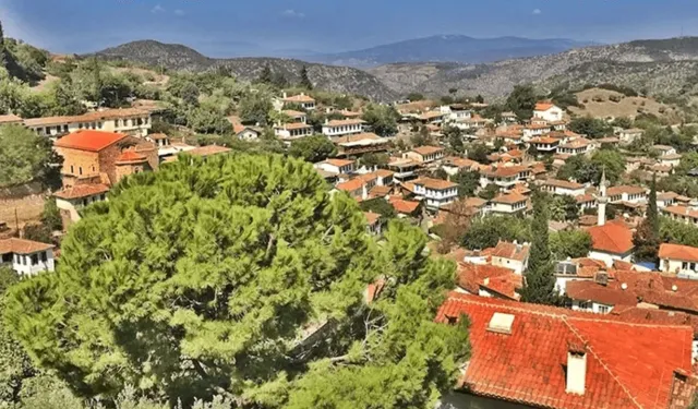 Kınık hakkında bilmeniz gerekenler