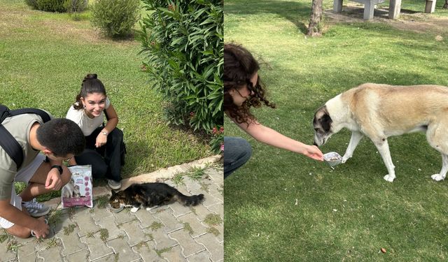 İzmir’den örnek etkinlik: Güzelbahçe gençleri sokak hayvanları için bir araya geldi