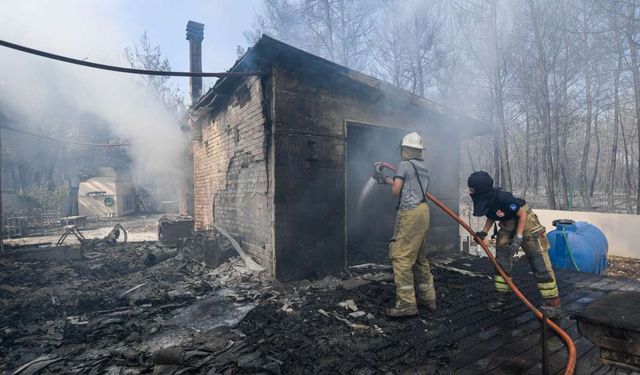 110 hektar orman yanmış, 27 ev zarar görmüştü: İzmir'deki yangında istenen ceza belli oldu