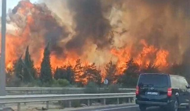 İzmir'de orman yangınına neden olmuştu: Sanığın yargılanmasına devam edildi