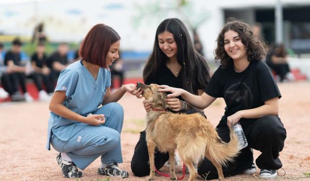 İzmir’e can dost farkındalığı: Kötü muameleye karşı çağrı