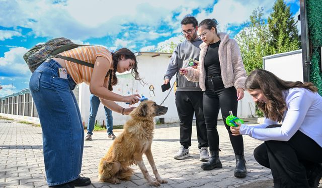 Bornova’da can dostlar için el ele
