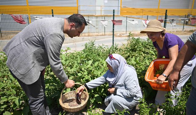 Bornova’nın kayıp hazinesi: Misket Üzümü yeniden hayat buluyor