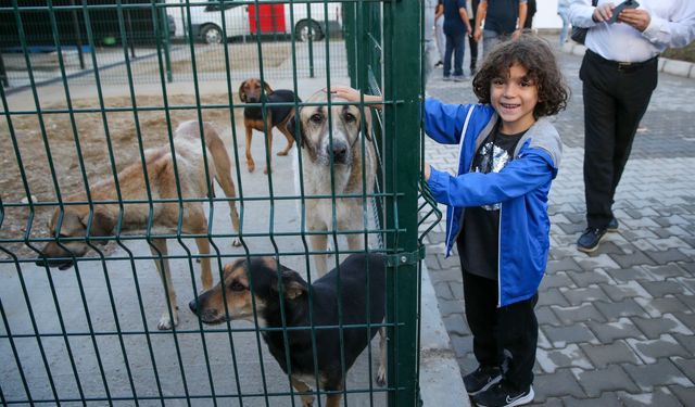 Karşıyaka’da can dostlar için yeni tesis