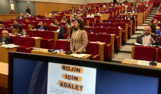 İzmir Meclisi’nde kadın cinayetleri gündemi: Her sabah daha adaletsiz bir sabaha uyanıyoruz