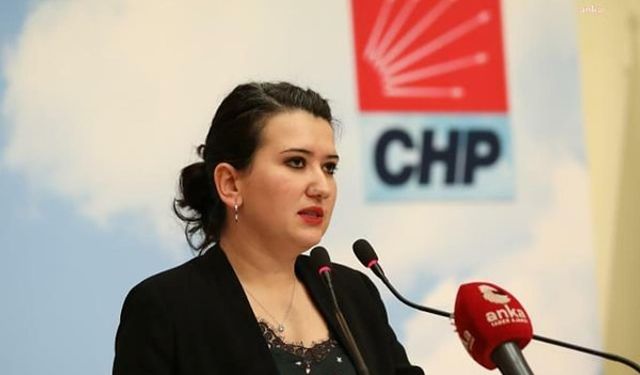 CHP İzmir Milletvekili Gökçen ateş püskürdü: Suç duyurusunda bulunacağım