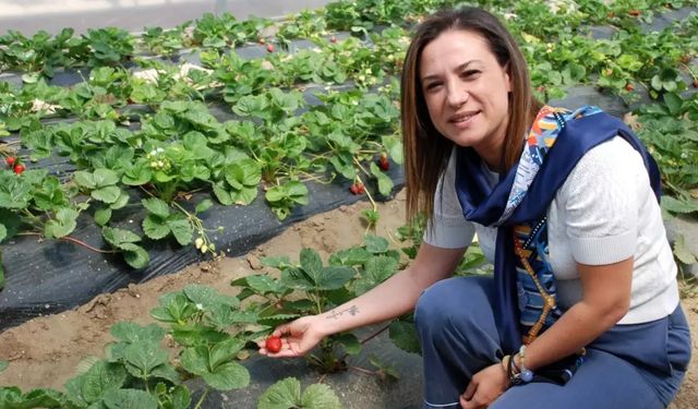 İzmir’de dikkat çeken o proje tanıtıldı: Atatürk’ün üretim anlayışıyla hayata geçirildi