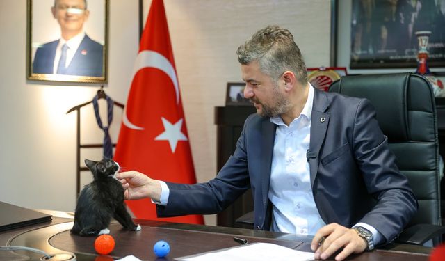 Başkan Duman kedisi Üzüm ile olan fotoğrafını paylaştı, sahiplenme çağrısı yaptı