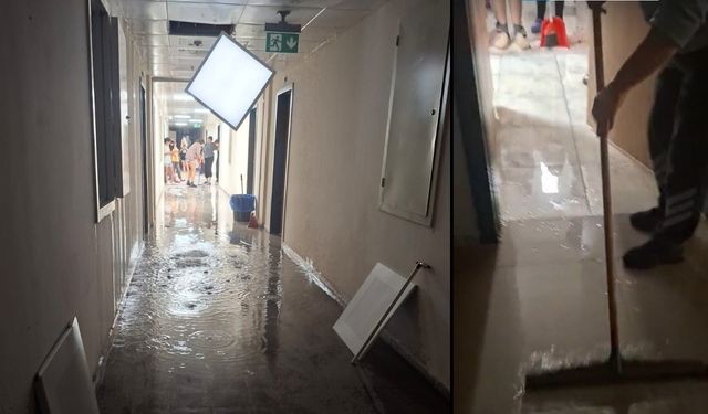 İzmir’in o KYK yurdunda öğrenciler isyanda: Yemek yetmiyor, fareler dolaşıyor, asansörler bozuk