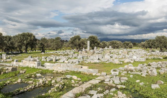 Eski dünyada şiirin başkentiydi: Teos Antik kenti