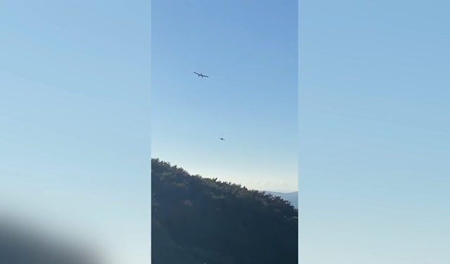 Selçuk’ta anız yangını ormana sıçradı