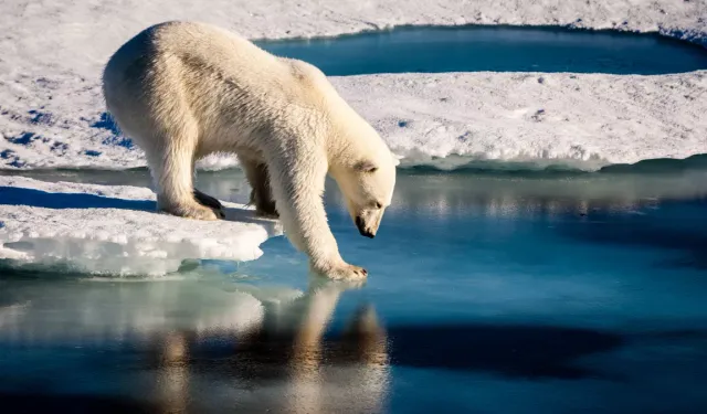 Korkutan küresel ısınma uyarısı: 75 yıl kaldı!