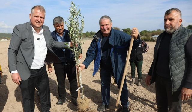 Atatürk’ün vasiyeti Urla’da hayata geçti: Zeytin bahçesinde ilk fidan dikimi