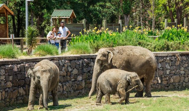 İzmir’de ara tatil rehberi: Çocuklarla nereye gidilir?