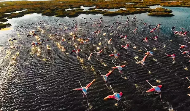 UNESCO listesi’nde İzmir: Antik kent, kale, liman...