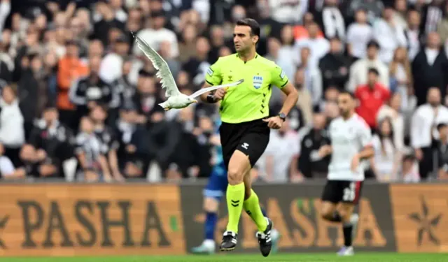 Beşiktaş-Samsunspor maçında sahaya martı girdi: Akıllara Süleyman Seba geldi
