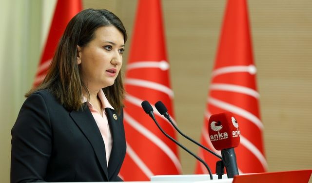 CHP’li Gökçe Gökçen: Seçimlerin kendisinin, Türkiye’deki gibi, birer krize dönüşmesine engel olmalıyız