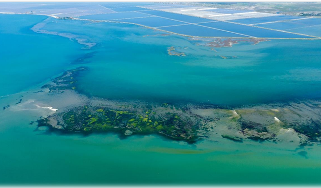 Daha önce iptal edilmişti: İzmir Körfez temizliği projesinde yeni gelişme