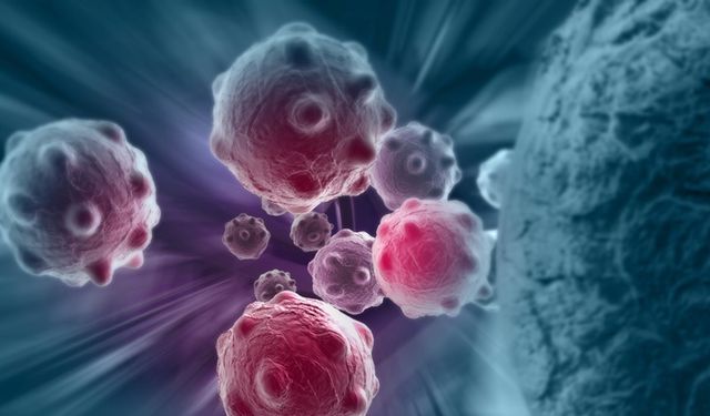 Kansere karşı bakteri tedavisi: Başarı oranı yüksek, yan etkisi düşük!