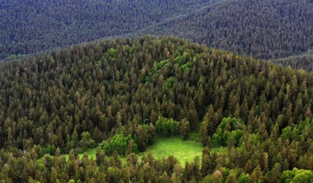 Meryem Ana’ya komşu RES projesi: Gözler Bakanlık’ta